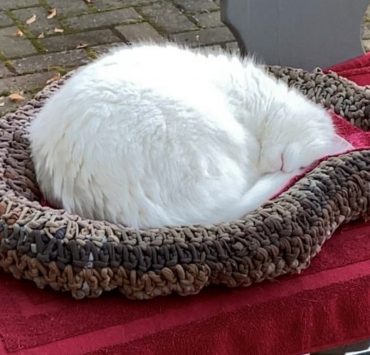 Katzenkörbchen Bastelidee
