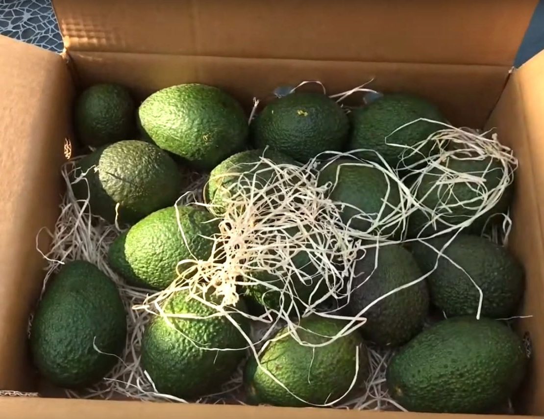 Erfahrungen Crowdfarming