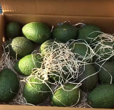 Erfahrungen Crowdfarming