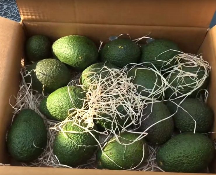 Erfahrungen Crowdfarming