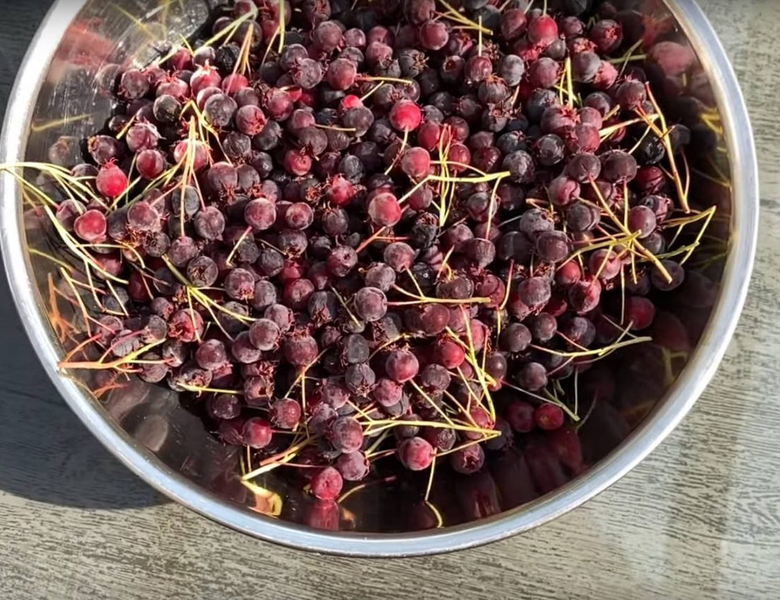 Kuchen mit Felsenbirne Rezeptidee