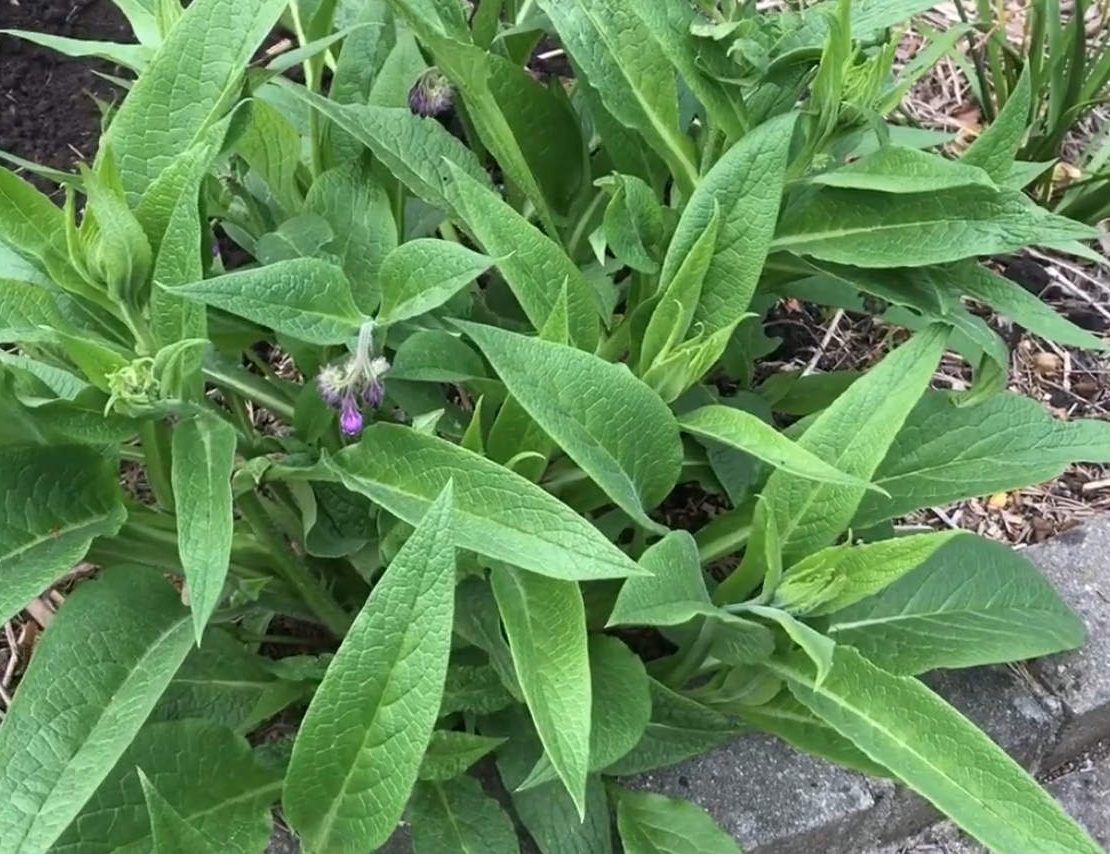 Gartenarbeit im April