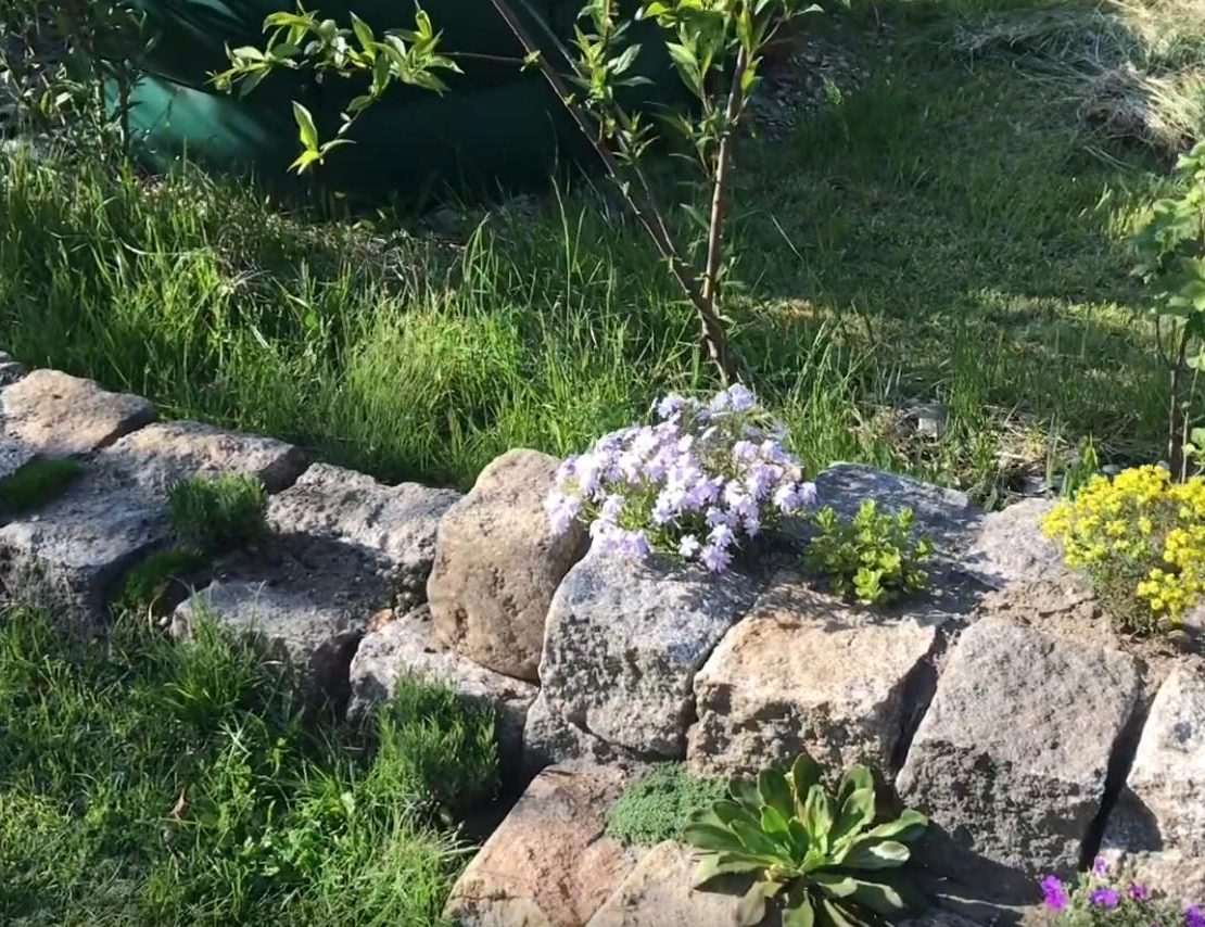 Gartenrundgang im Mai