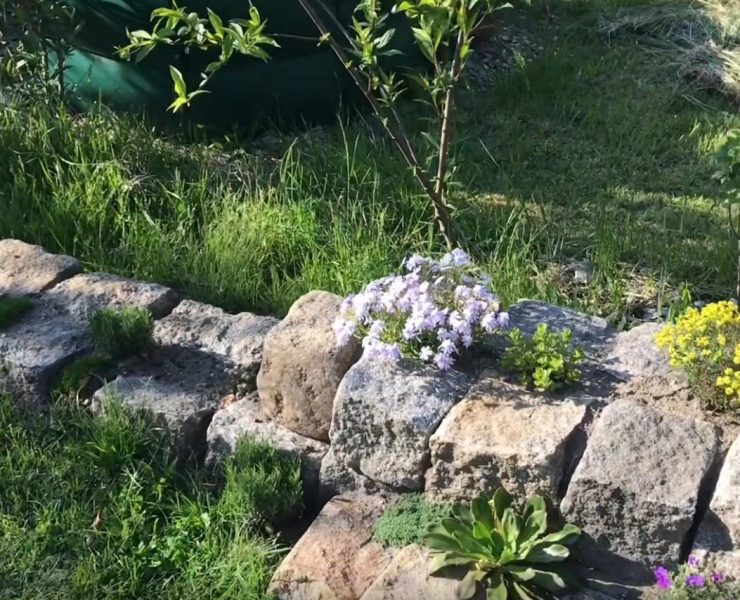 Gartenrundgang im Mai