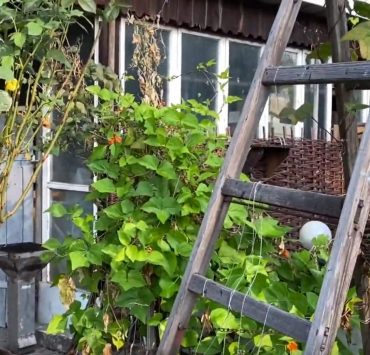 Gartenrundgang September