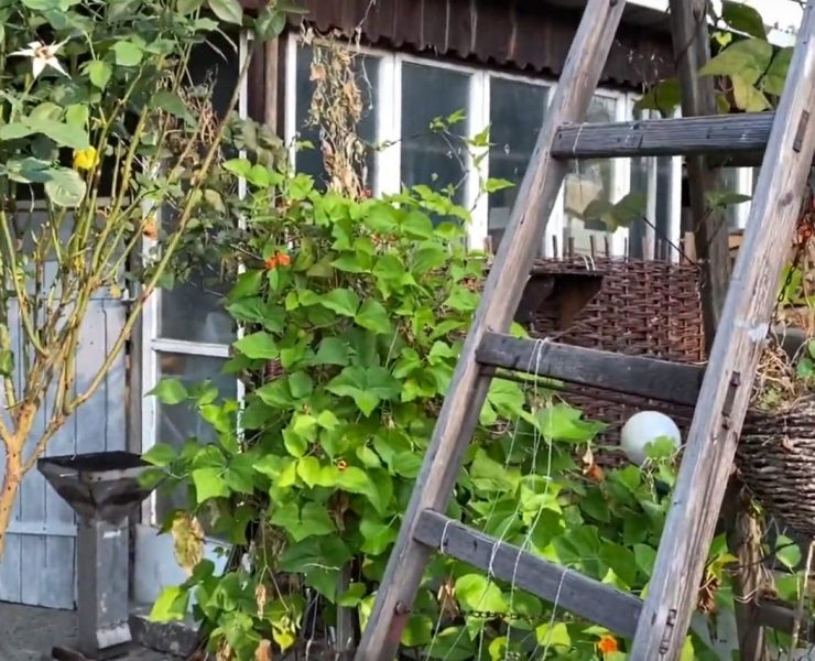 Gartenrundgang September