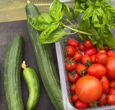 Gemüsegarten Rundgang