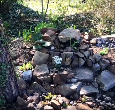 Steingarten aufräumen