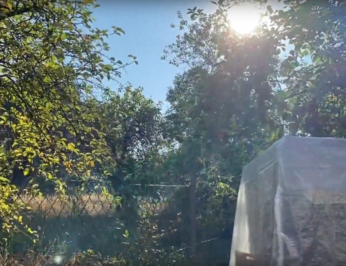 Gruß aus dem Garten