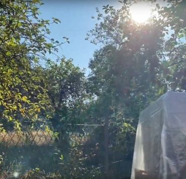 Gruß aus dem Garten